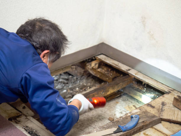 Best Crawl Space Mold Remediation in Boscobel, WI